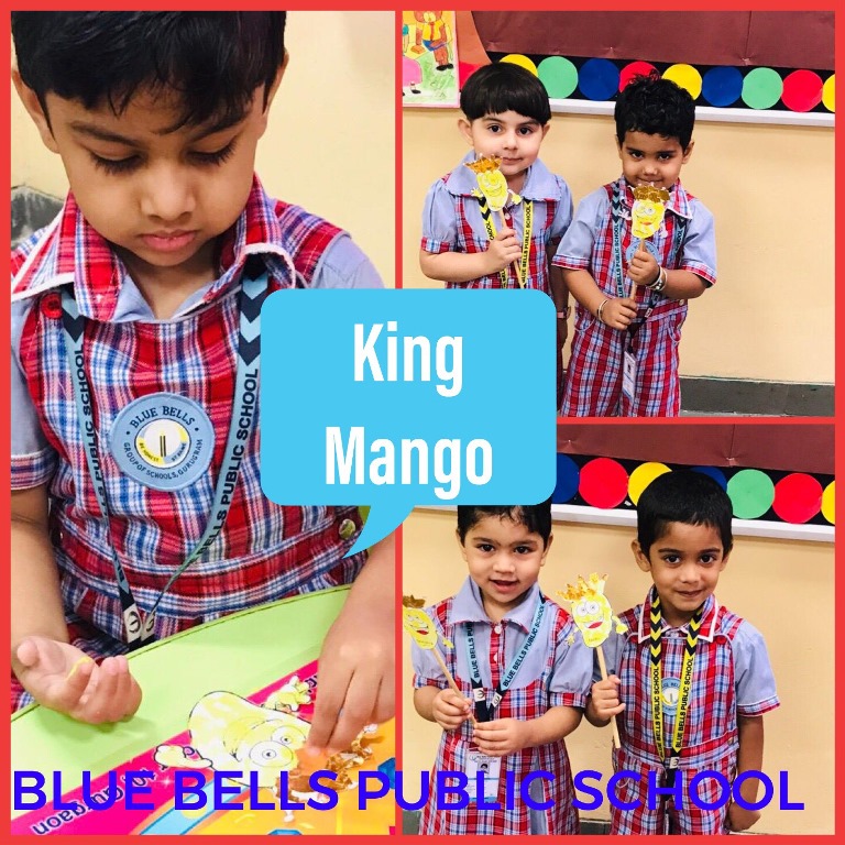 “KING MANGO ACTIVITY”